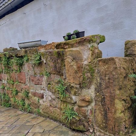 Haus Ziegenblick Βίλα Herbolzheim Εξωτερικό φωτογραφία