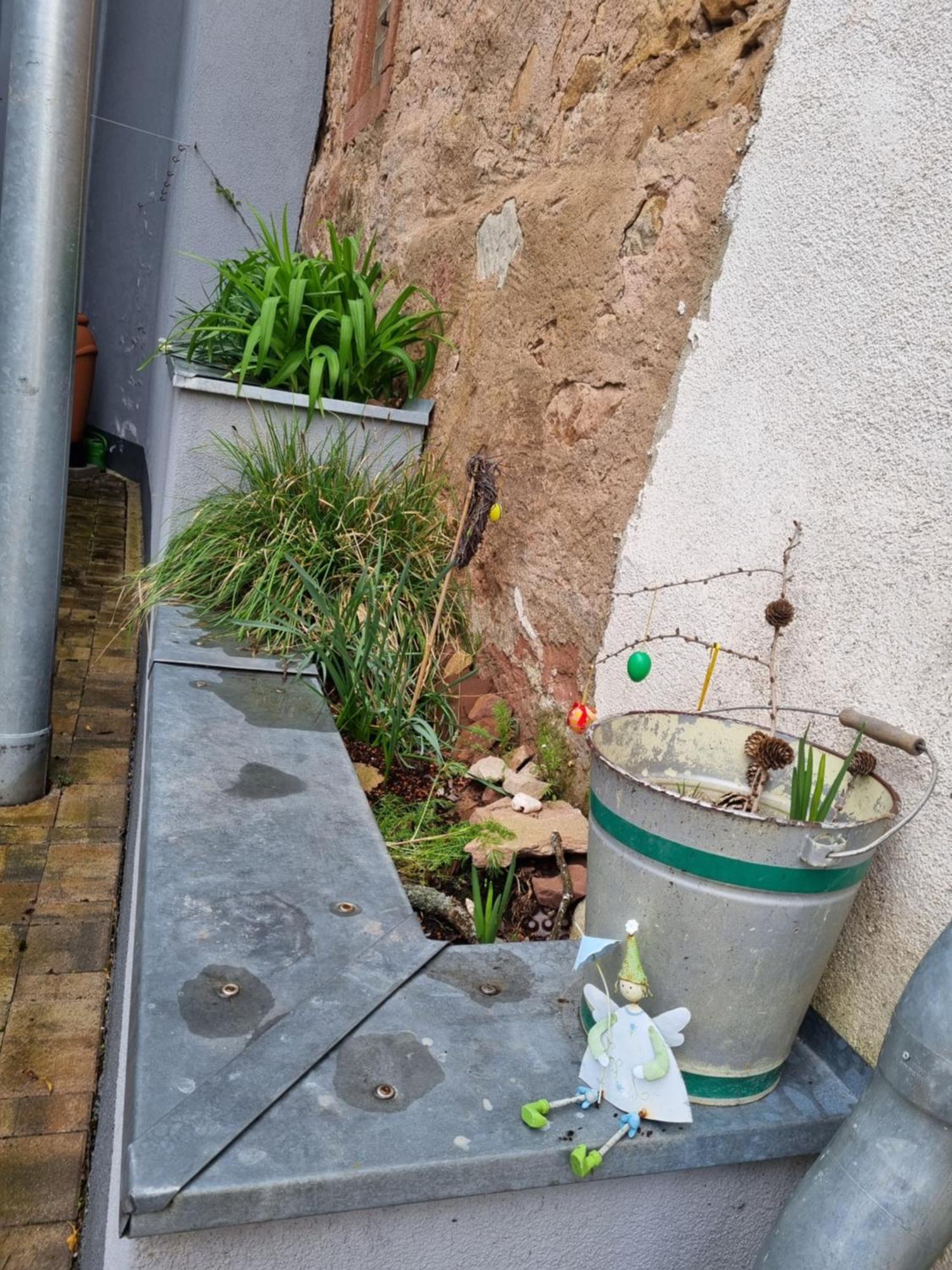 Haus Ziegenblick Βίλα Herbolzheim Εξωτερικό φωτογραφία